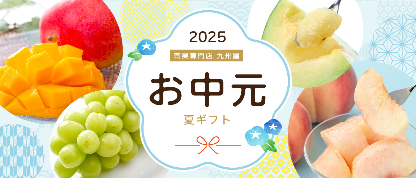 【九州屋plus+】お中元　夏ギフト